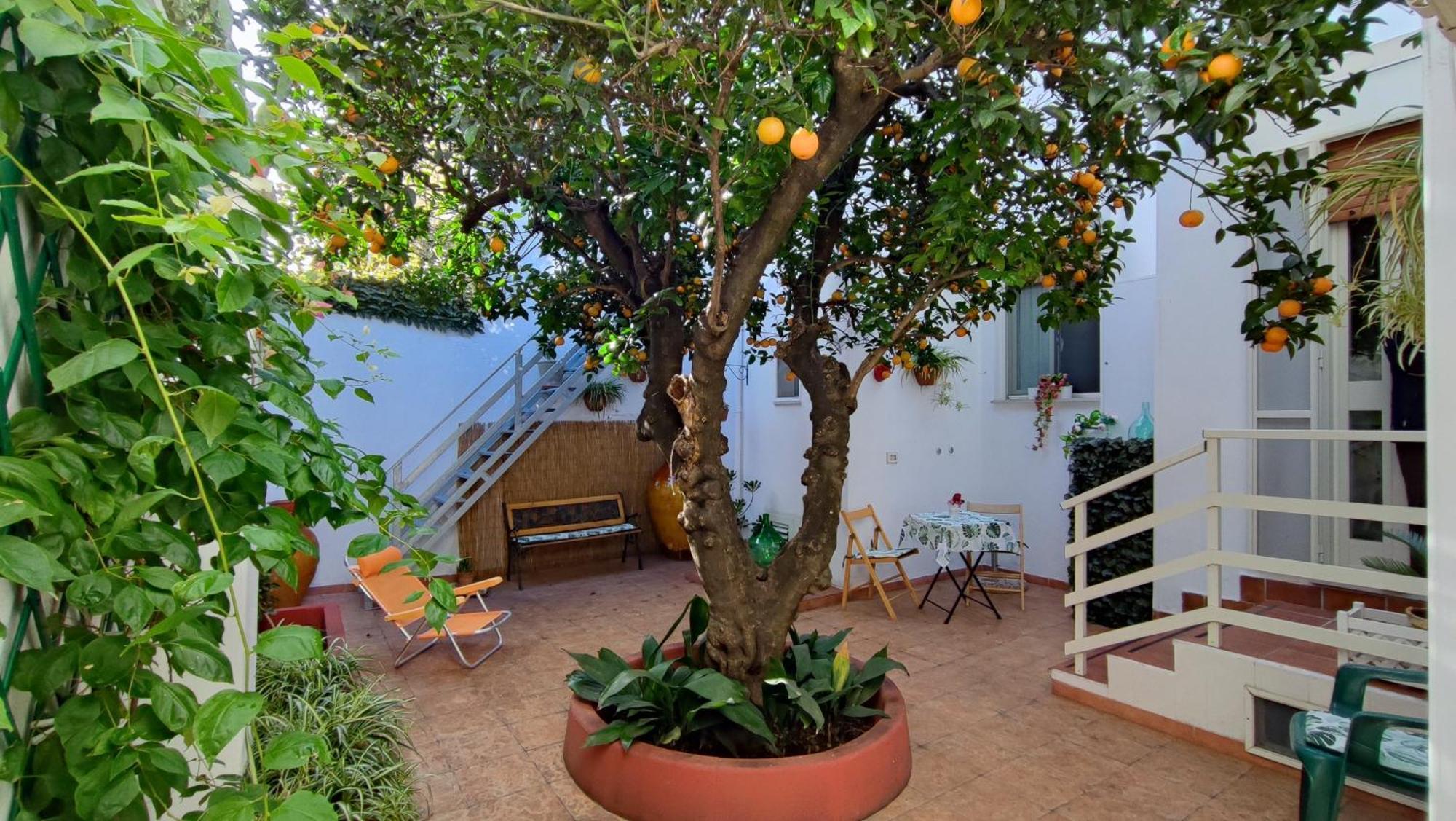 Casa Sofia: Comodi E Tranquilli マルッジョ エクステリア 写真